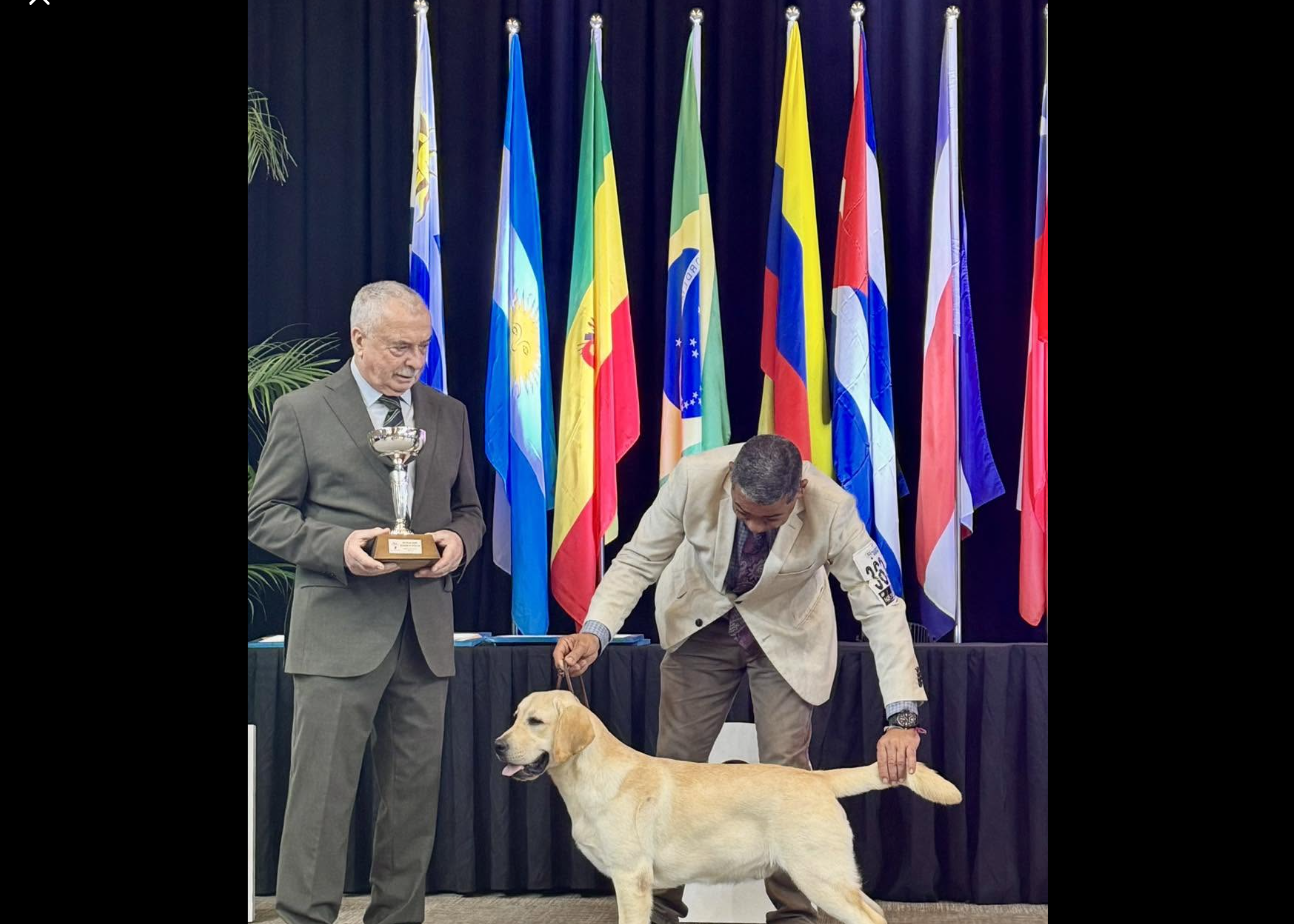Ejemplar Labsana en exposición internacional