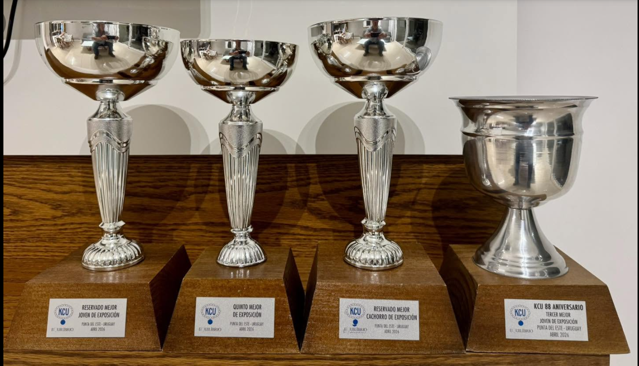 Trofeos KCU Punta del Este