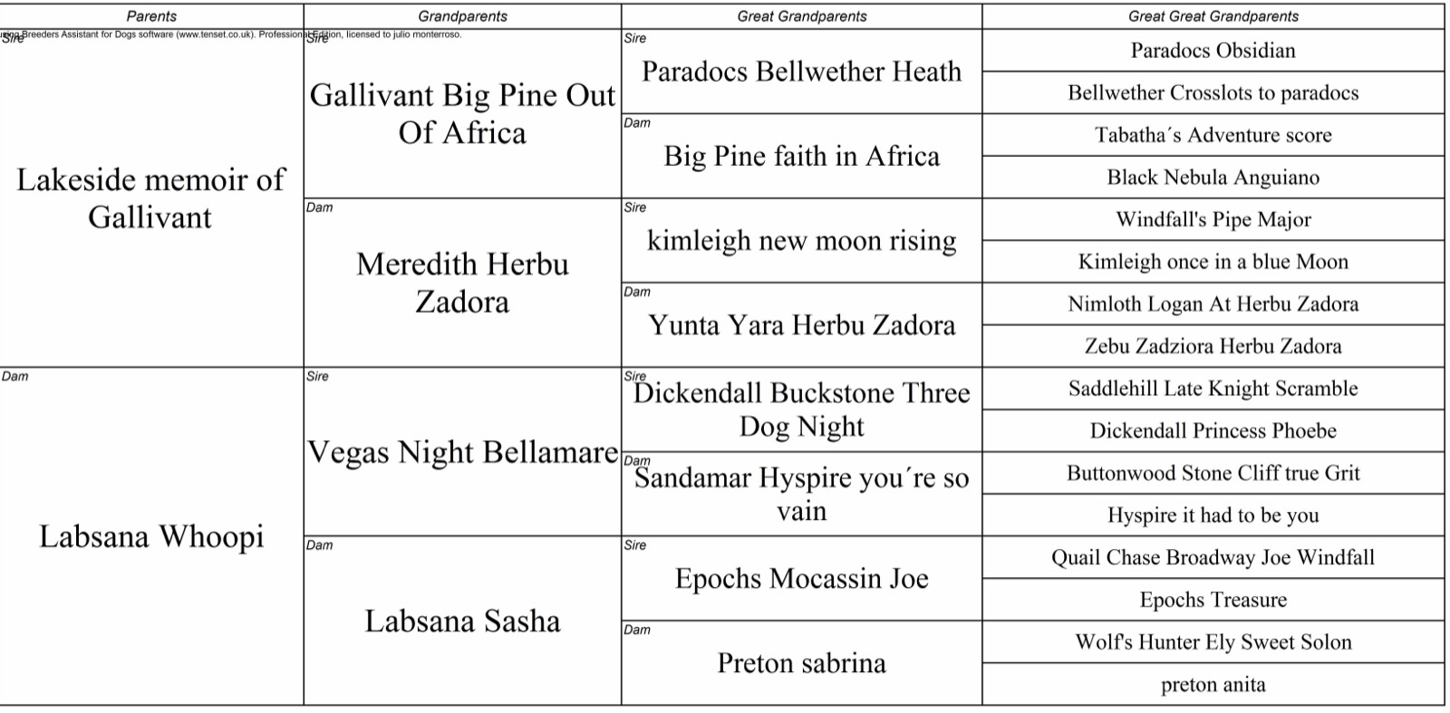 Pedigree de Labsana Hanna