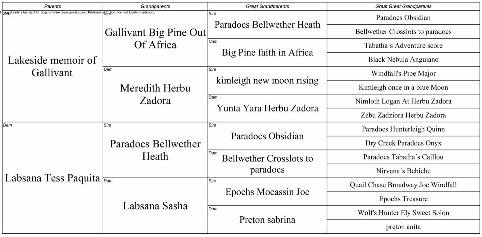 Pedigree de Labsana Katalina