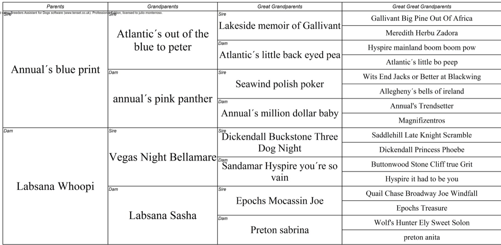 Pedigree de Labsana Nazaret AW
