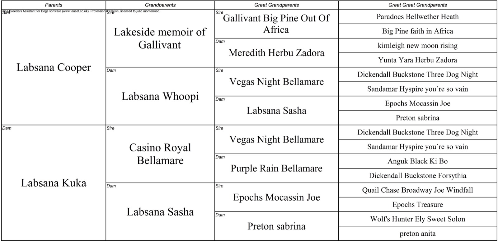Pedigree de Labsana Ederne