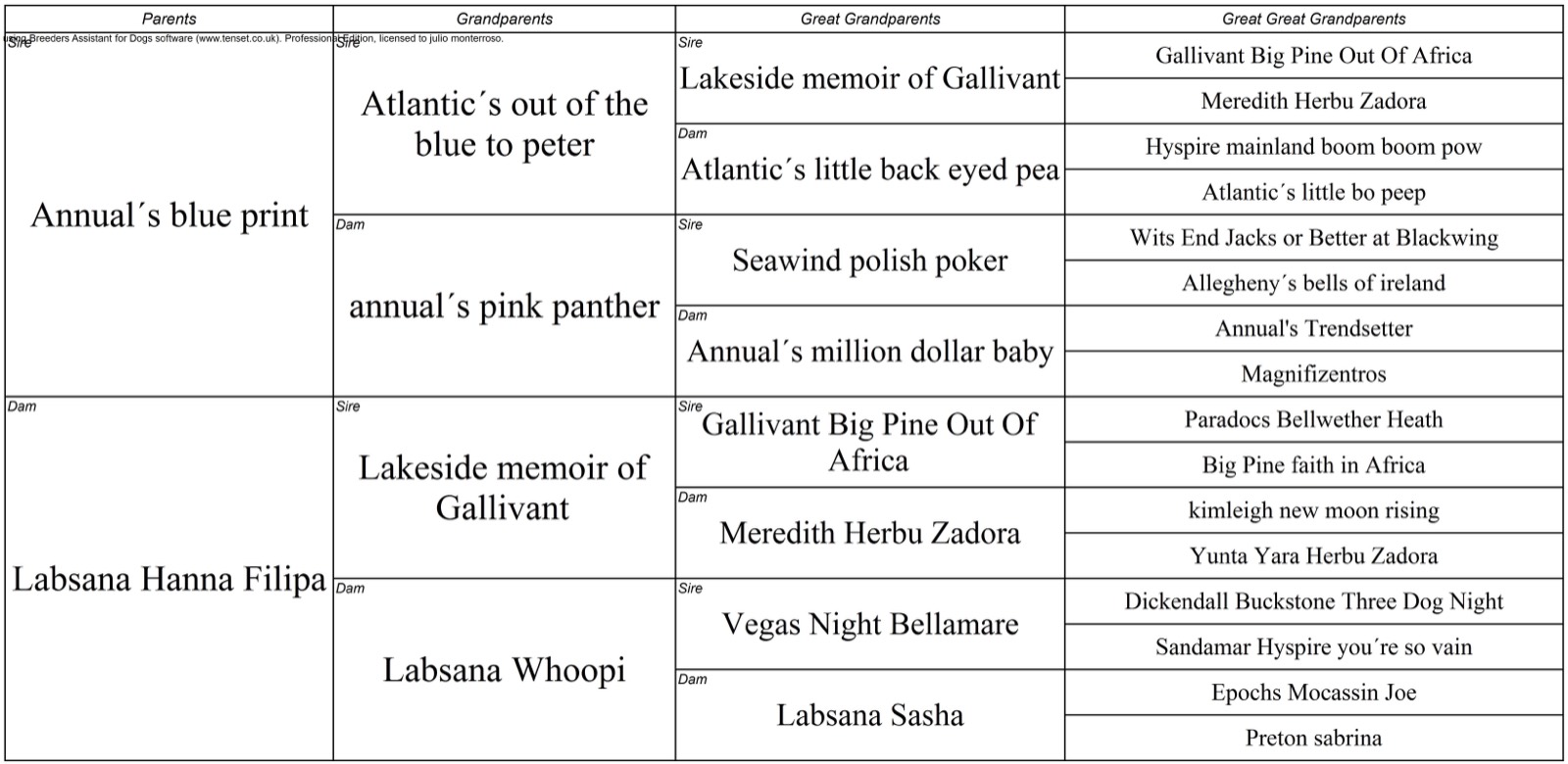 Pedigree de Labsana Blue II