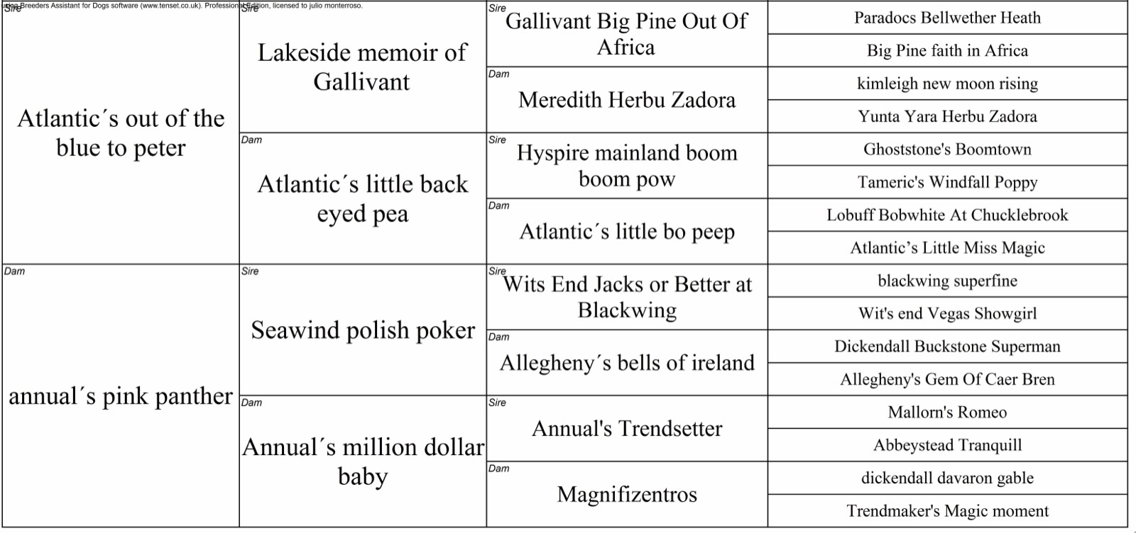 Pedigree de Annual&rsquo;s Blueprint