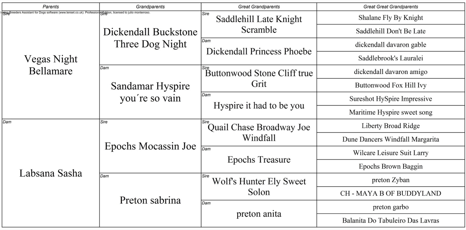 Pedigree de Labsana Morgan